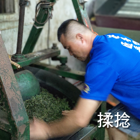 正賀製茶步驟 揉捻 阿里山 友善茶園 頭等茶