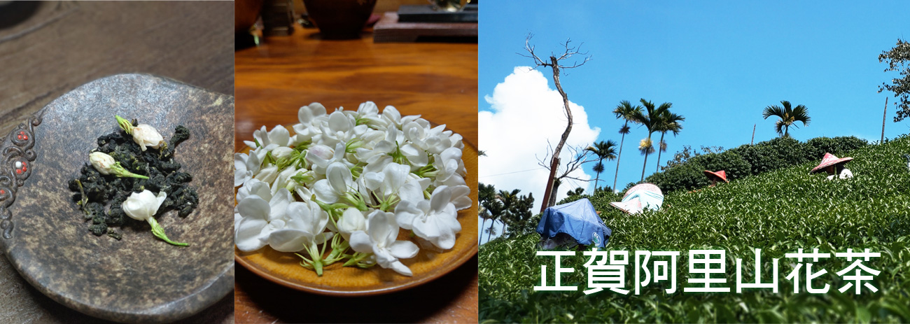 正賀茶場 阿里山 友善茶園無毒高山茶 茶葉禮盒 年節送禮